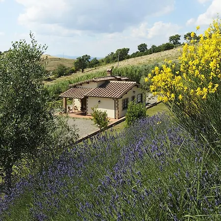Le Capannacce Villa Cinigiano Exterior photo