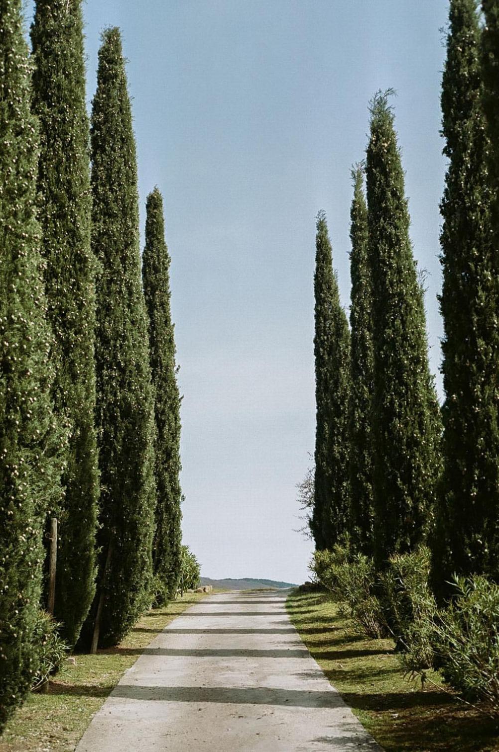 Alloggio per agriturismo Le Capannacce