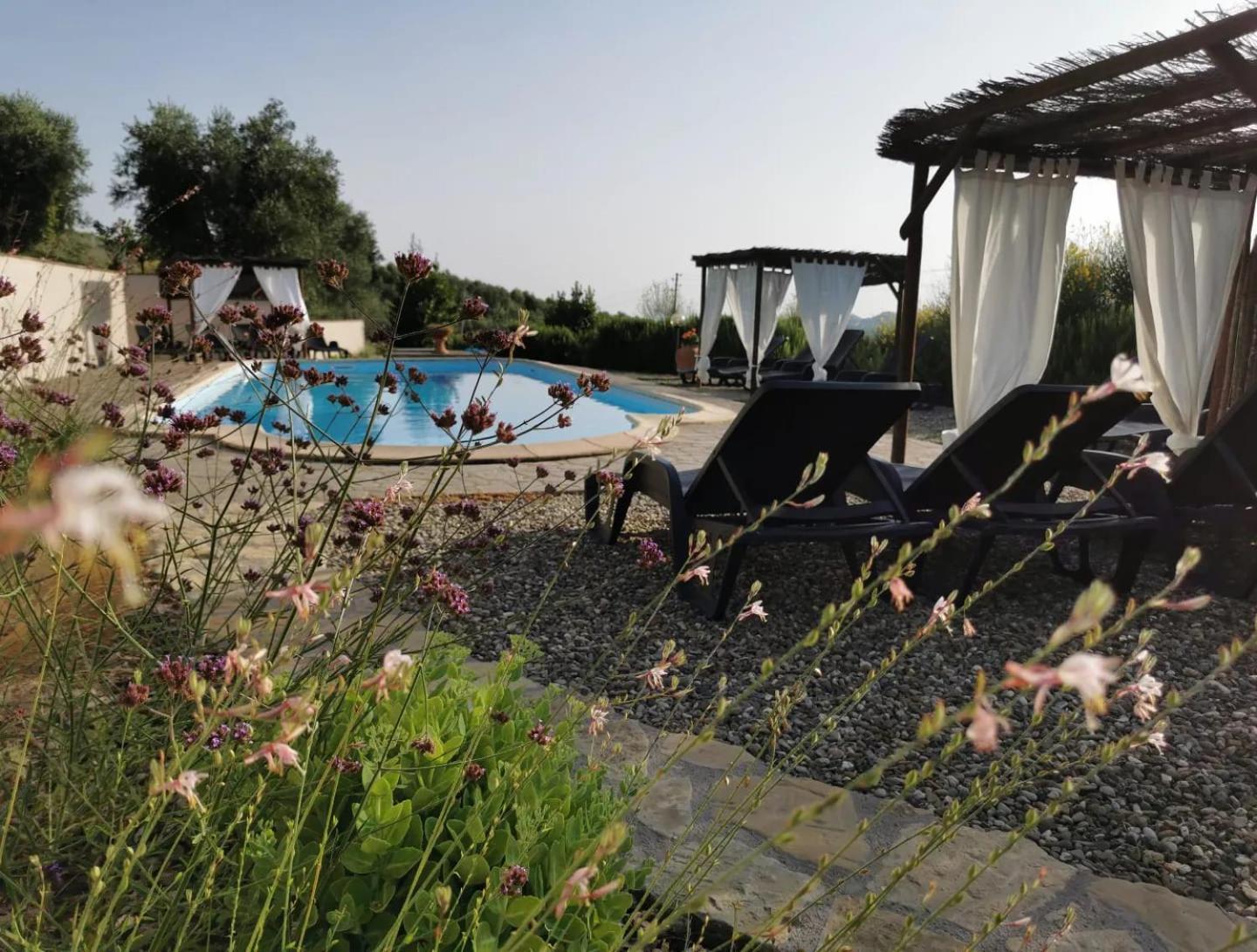Le Capannacce Farm stay Cinigiano